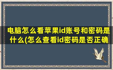 电脑怎么看苹果id账号和密码是什么(怎么查看id密码是否正确)