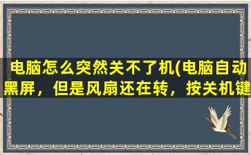 电脑怎么突然关不了机(电脑自动黑屏，但是风扇还在转，按关机键关不了，按住电源键也关不了)