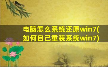 电脑怎么系统还原win7(如何自己重装系统win7)