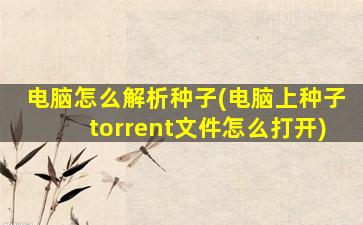 电脑怎么解析种子(电脑上种子torrent文件怎么打开)