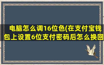 电脑怎么调16位色(在支付宝钱包上设置6位支付密码后怎么换回去原来的4-16位密码啊)