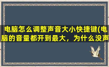 电脑怎么调整声音大小快捷键(电脑的音量都开到最大，为什么没声音)