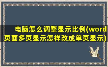 电脑怎么调整显示比例(word页面多页显示怎样改成单页显示)