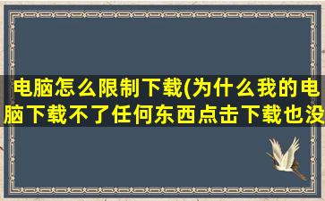 电脑怎么限制下载(为什么我的电脑下载不了任何东西点击下载也没任何反应)