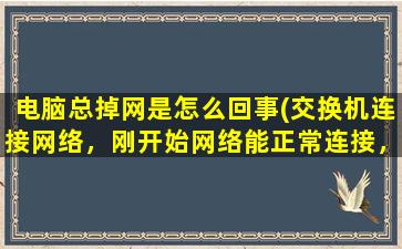 电脑总掉网是怎么回事(交换机连接网络，刚开始网络能正常连接，几分钟后就自动断网，拼网又是通的，这是怎么回事)