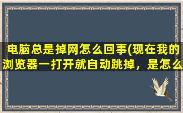 电脑总是掉网怎么回事(现在我的浏览器一打开就自动跳掉，是怎么回事)