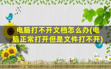 电脑打不开文档怎么办(电脑正常打开但是文件打不开)