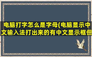 电脑打字怎么是字母(电脑显示中文输入法打出来的有中文显示框但是输出的是字母)