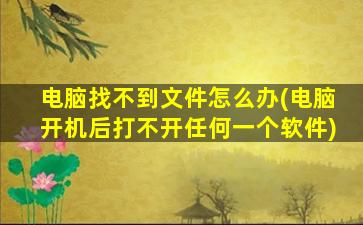 电脑找不到文件怎么办(电脑开机后打不开任何一个软件)