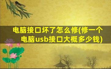 电脑接口坏了怎么修(修一个电脑usb接口大概多少钱)