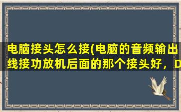 电脑接头怎么接(电脑的音频输出线接功放机后面的那个接头好，DVDCDVCDAUX)