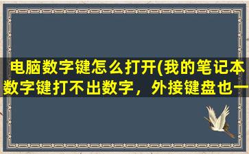 电脑数字键怎么打开(我的笔记本数字键打不出数字，外接键盘也一样。这是什么情况啊)