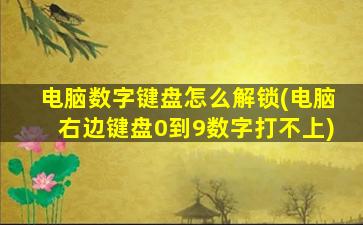 电脑数字键盘怎么解锁(电脑右边键盘0到9数字打不上)