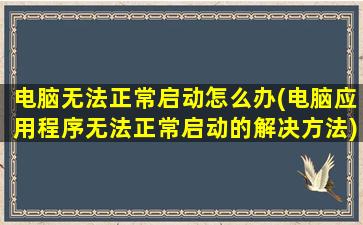 电脑无法正常启动怎么办(电脑应用程序无法正常启动的解决方法)