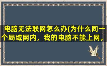 电脑无法联网怎么办(为什么同一个局域网内，我的电脑不能上网，别的都可以)