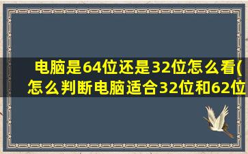 电脑是64位还是32位怎么看(怎么判断电脑适合32位和62位)