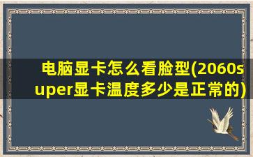 电脑显卡怎么看脸型(2060super显卡温度多少是正常的)