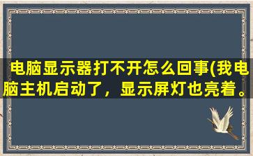 电脑显示器打不开怎么回事(我电脑主机启动了，显示屏灯也亮着。但是屏幕就是不显示画面)