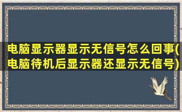 电脑显示器显示无信号怎么回事(电脑待机后显示器还显示无信号)