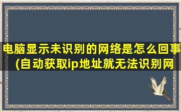 电脑显示未识别的网络是怎么回事(自动获取ip地址就无法识别网络)