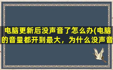 电脑更新后没声音了怎么办(电脑的音量都开到最大，为什么没声音)