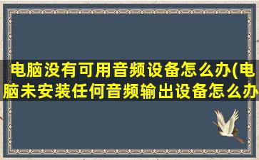 电脑没有可用音频设备怎么办(电脑未安装任何音频输出设备怎么办)