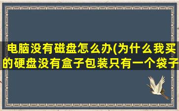 电脑没有磁盘怎么办(为什么我买的硬盘没有盒子包装只有一个袋子)