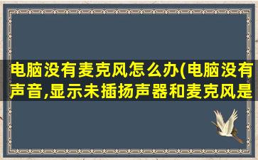 电脑没有麦克风怎么办(电脑没有声音,显示未插扬声器和麦克风是什么意思)