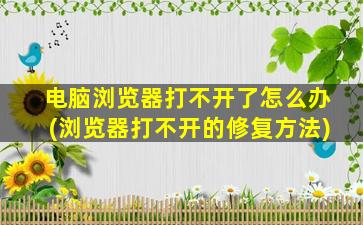 电脑浏览器打不开了怎么办(浏览器打不开的修复方法)