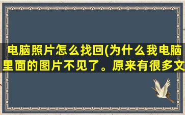 电脑照片怎么找回(为什么我电脑里面的图片不见了。原来有很多文件夹的。没有删任何东西有人能告诉我是怎么回事嘛)