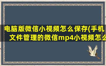 电脑版微信小视频怎么保存(手机文件管理的微信mp4小视频怎么保存到电脑上)