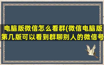 电脑版微信怎么看群(微信电脑版第几版可以看到群聊别人的微信号)