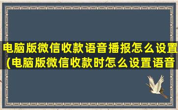 电脑版微信收款语音播报怎么设置(电脑版微信收款时怎么设置语音播报)