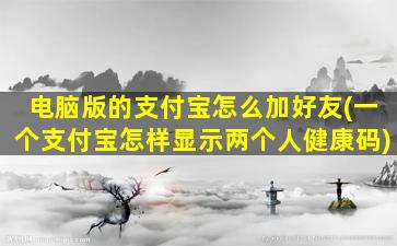 电脑版的支付宝怎么加好友(一个支付宝怎样显示两个人健康码)