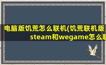 电脑版饥荒怎么联机(饥荒联机版steam和wegame怎么联机)