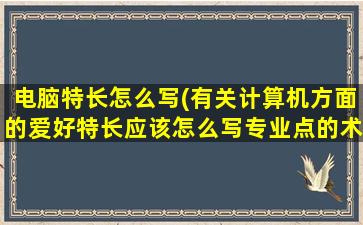 电脑特长怎么写(有关计算机方面的爱好特长应该怎么写专业点的术语不要太假)