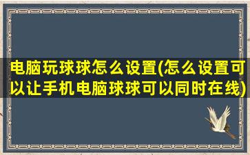 电脑玩球球怎么设置(怎么设置可以让手机电脑球球可以同时在线)