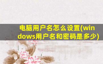 电脑用户名怎么设置(windows用户名和密码是多少)