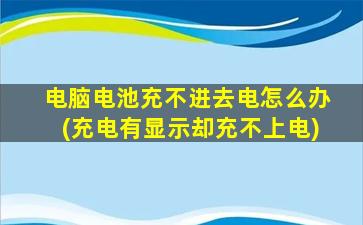 电脑电池充不进去电怎么办(充电有显示却充不上电)