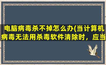 电脑病毒杀不掉怎么办(当计算机病毒无法用杀毒软件清除时，应当如何处理)