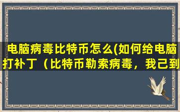 电脑病毒比特币怎么(如何给电脑打补丁（比特币勒索病毒，我己到相关页面，如何补）)