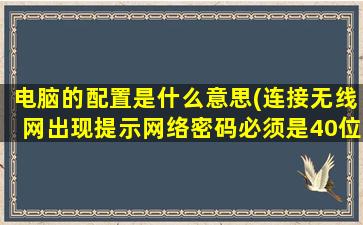 电脑的配置是什么意思(连接无线网出现提示网络密码必须是40位或104位的取决于您的网络配置。怎么办)