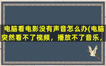 电脑看电影没有声音怎么办(电脑突然看不了视频，播放不了音乐，请问要怎么弄)