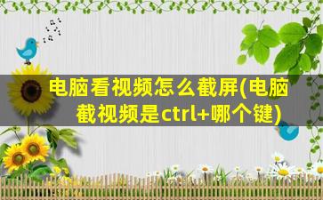 电脑看视频怎么截屏(电脑截视频是ctrl+哪个键)