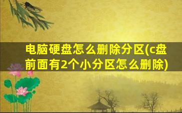 电脑硬盘怎么删除分区(c盘前面有2个小分区怎么删除)