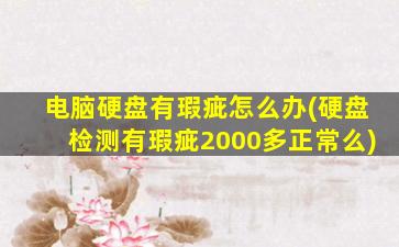 电脑硬盘有瑕疵怎么办(硬盘检测有瑕疵2000多正常么)