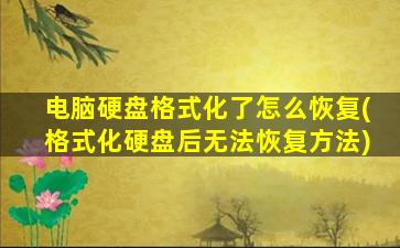 电脑硬盘格式化了怎么恢复(格式化硬盘后无法恢复方法)