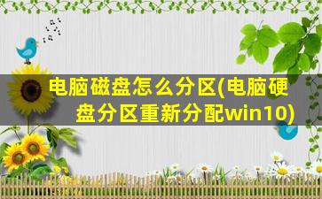 电脑磁盘怎么分区(电脑硬盘分区重新分配win10)