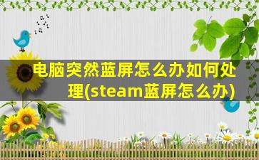 电脑突然蓝屏怎么办如何处理(steam蓝屏怎么办)