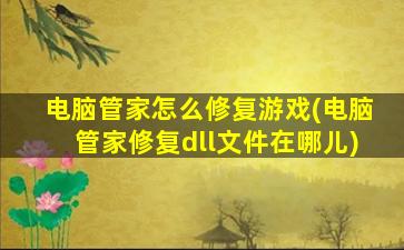 电脑管家怎么修复游戏(电脑管家修复dll文件在哪儿)